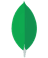 Icon 0