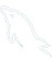 Icon 0